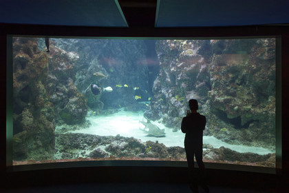 France, Oceanopolis