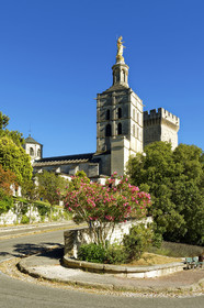 France, Avignon