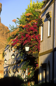 Canaries. Espagne