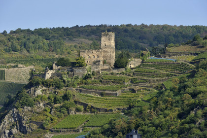 Allemagne, Rhin