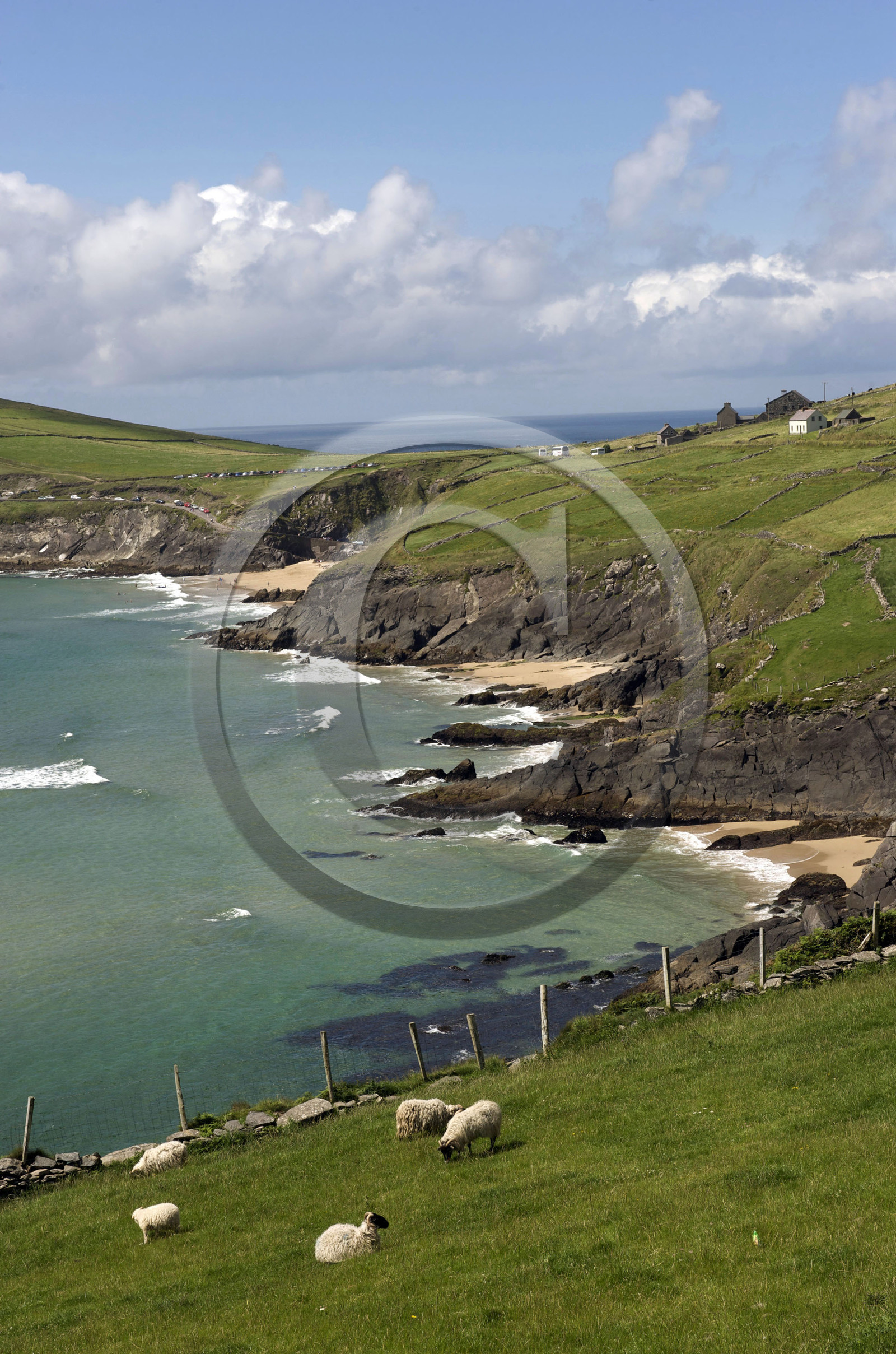 Irlande, Dingle