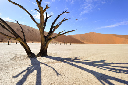 Namibie, Sossusvlei