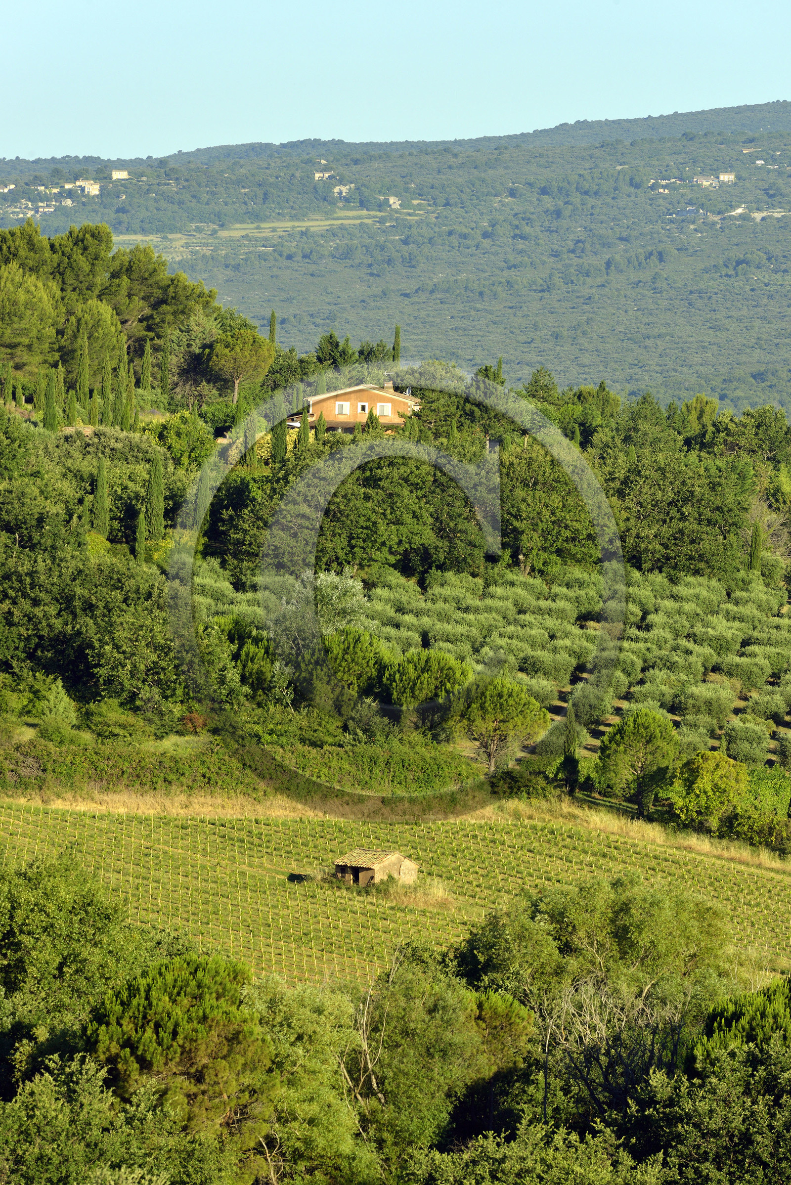 France, Roussillon