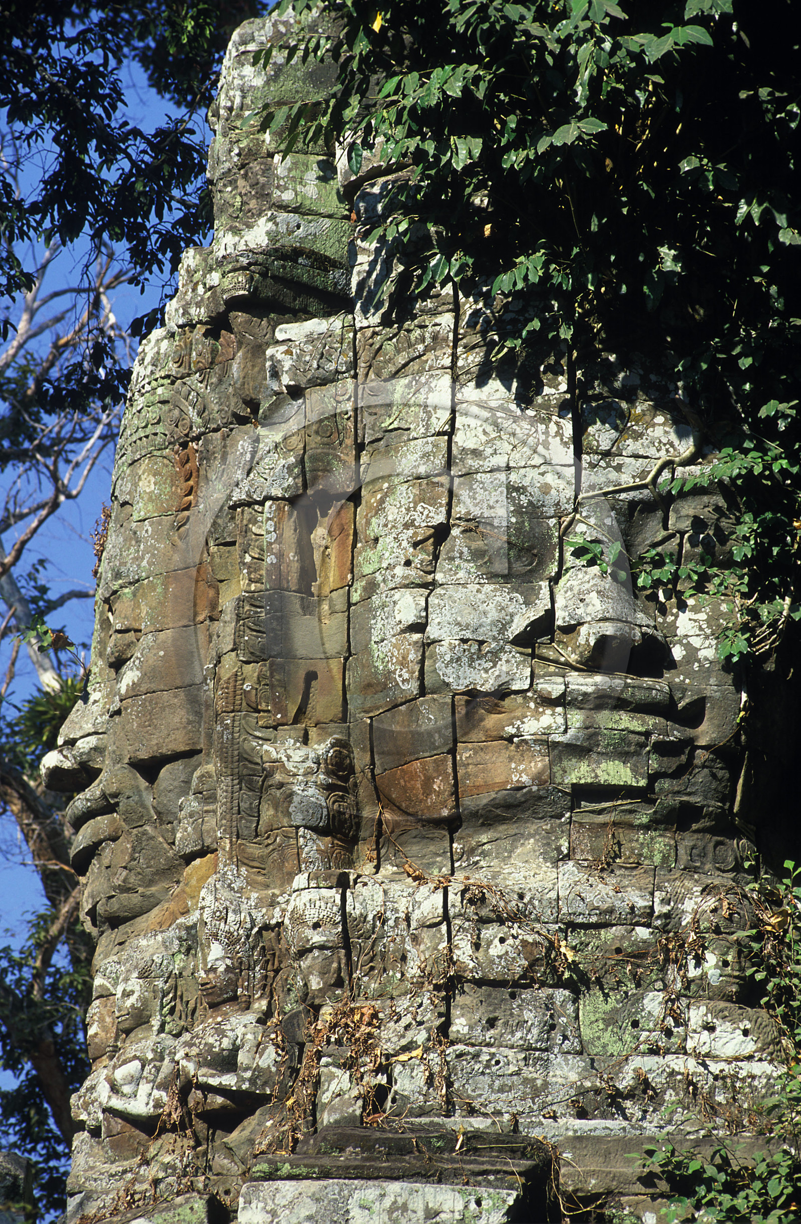 Angkor. Cambodge