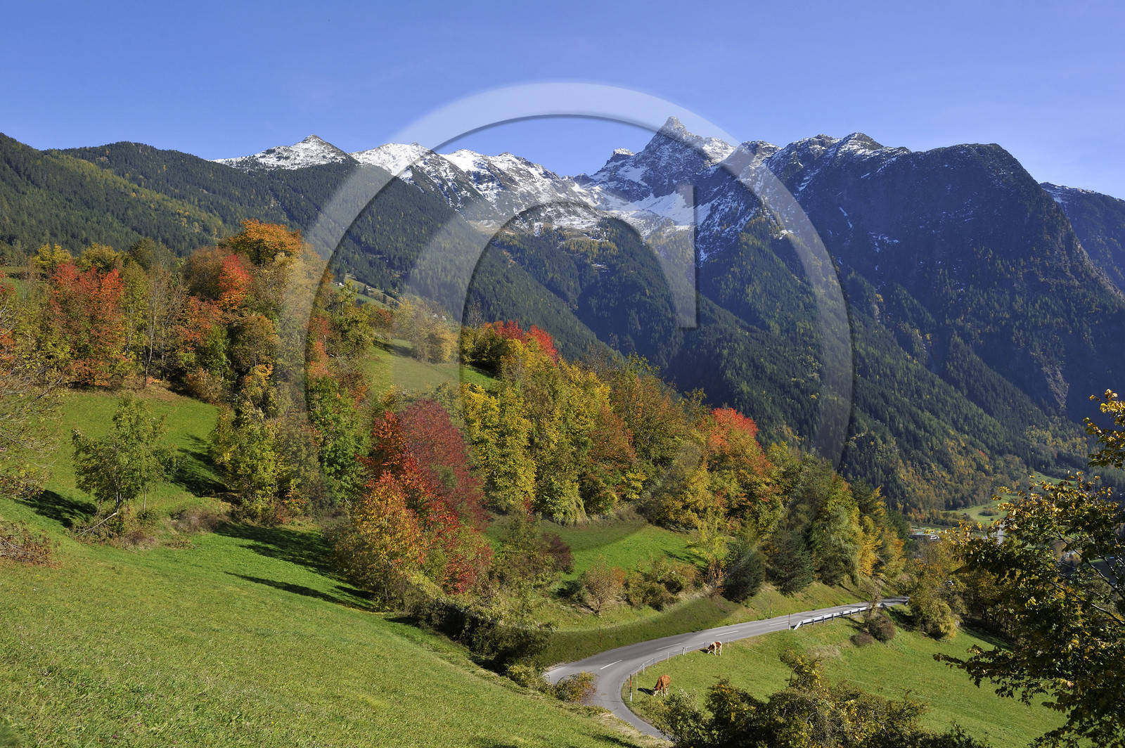 Autriche, Tyrol
