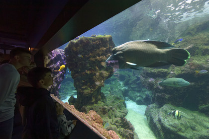 France, Oceanopolis