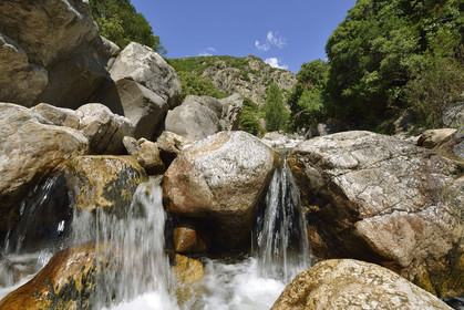 France, Heric