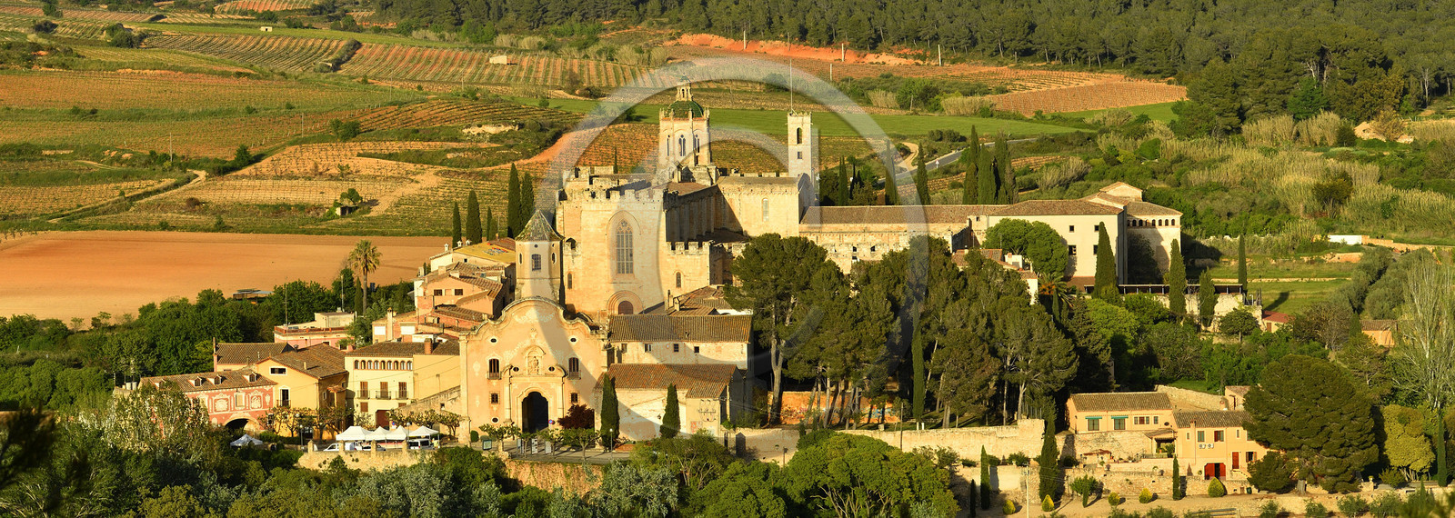 Espagne, Santes Creus