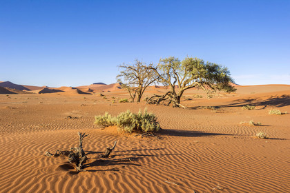 Namibie, Sossusvlei