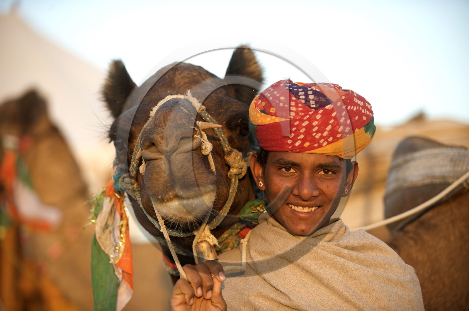 Inde, Rajasthan