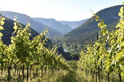 France, Tarn