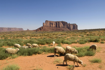 USA, MONUMENT VALLEY