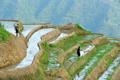 Chine, Longsheng