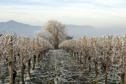 France, Alsace