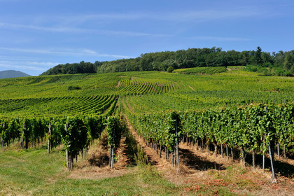 France, Alsace