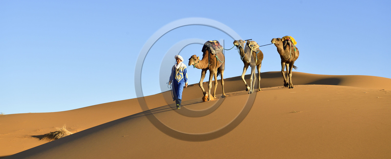 Maroc, Merzouga