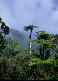 Ile de la Réunion.France