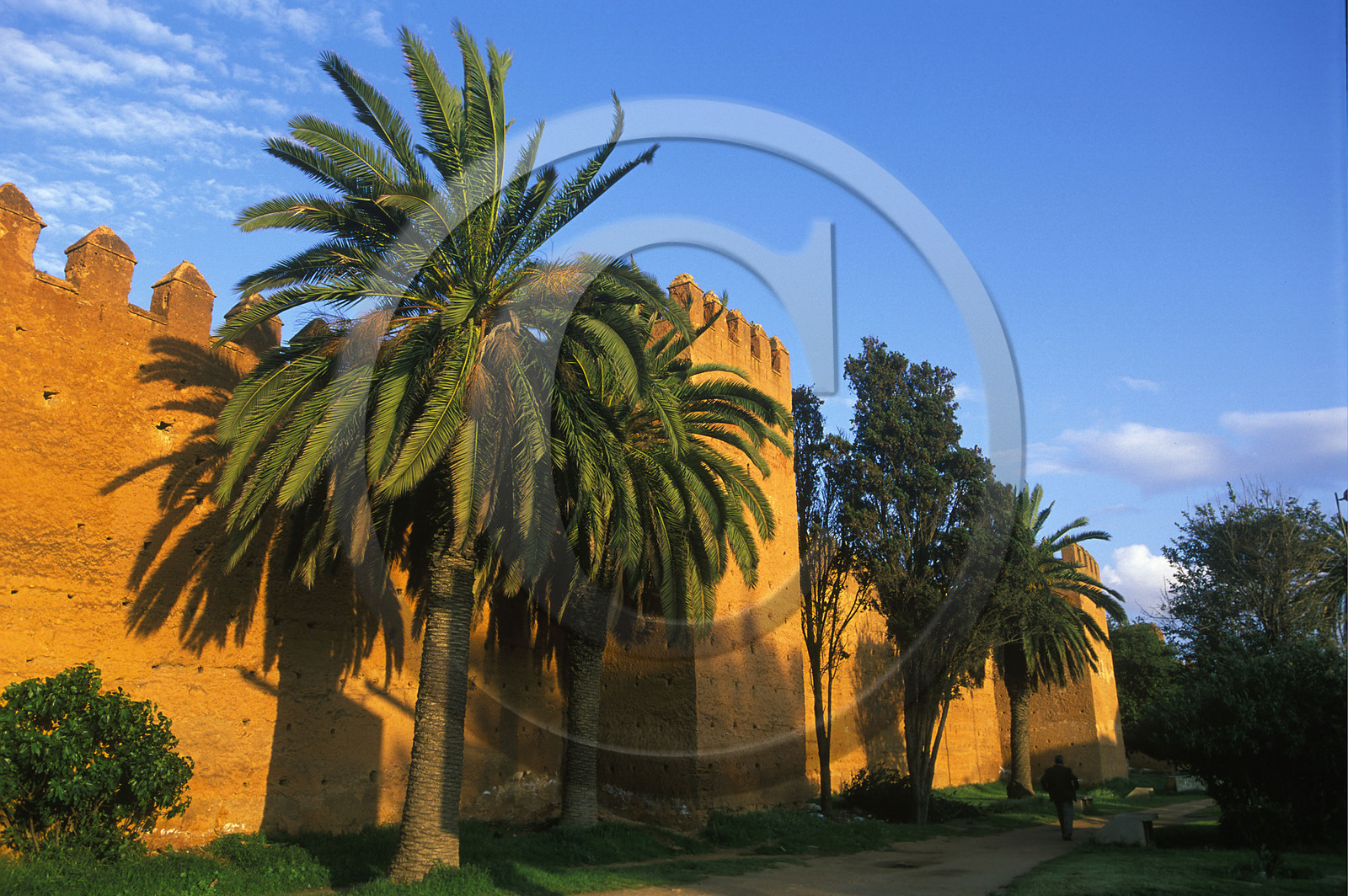 MAROC   RABAT.MURAILLE DE LA MÉDINA
