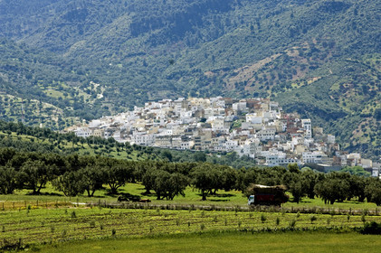 Moulay, Maroc