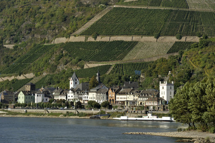 Allemagne, Rhin