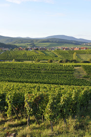 France, Alsace