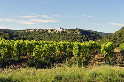 France, Baux de Provence