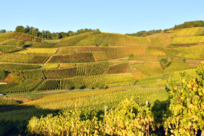 France, Turckheim