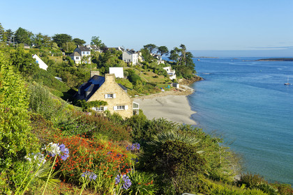 France, Aber