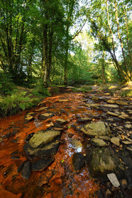 France, Brocéliande