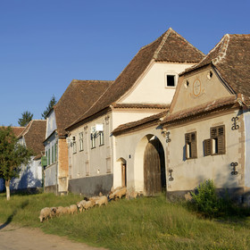 Roumanie, Viscri