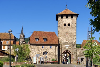 France, Dambach