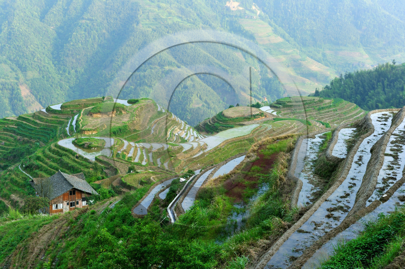 Chine, Longsheng