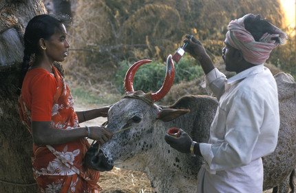 Inde du Sud