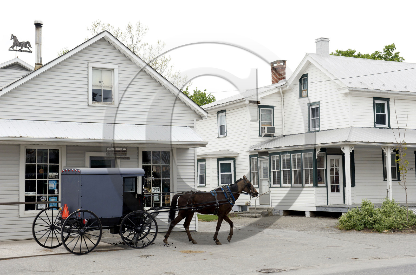 USA, Amish