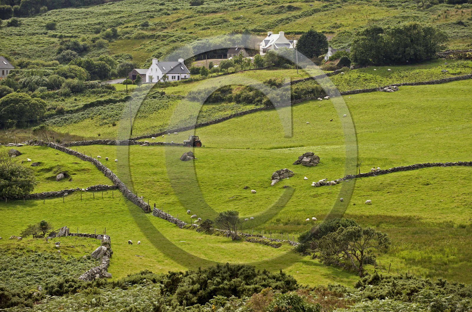 Irlande, Kerry