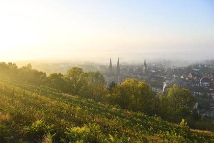 France, Obernai