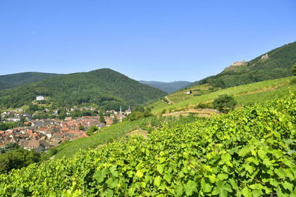 France,  Ribeauville