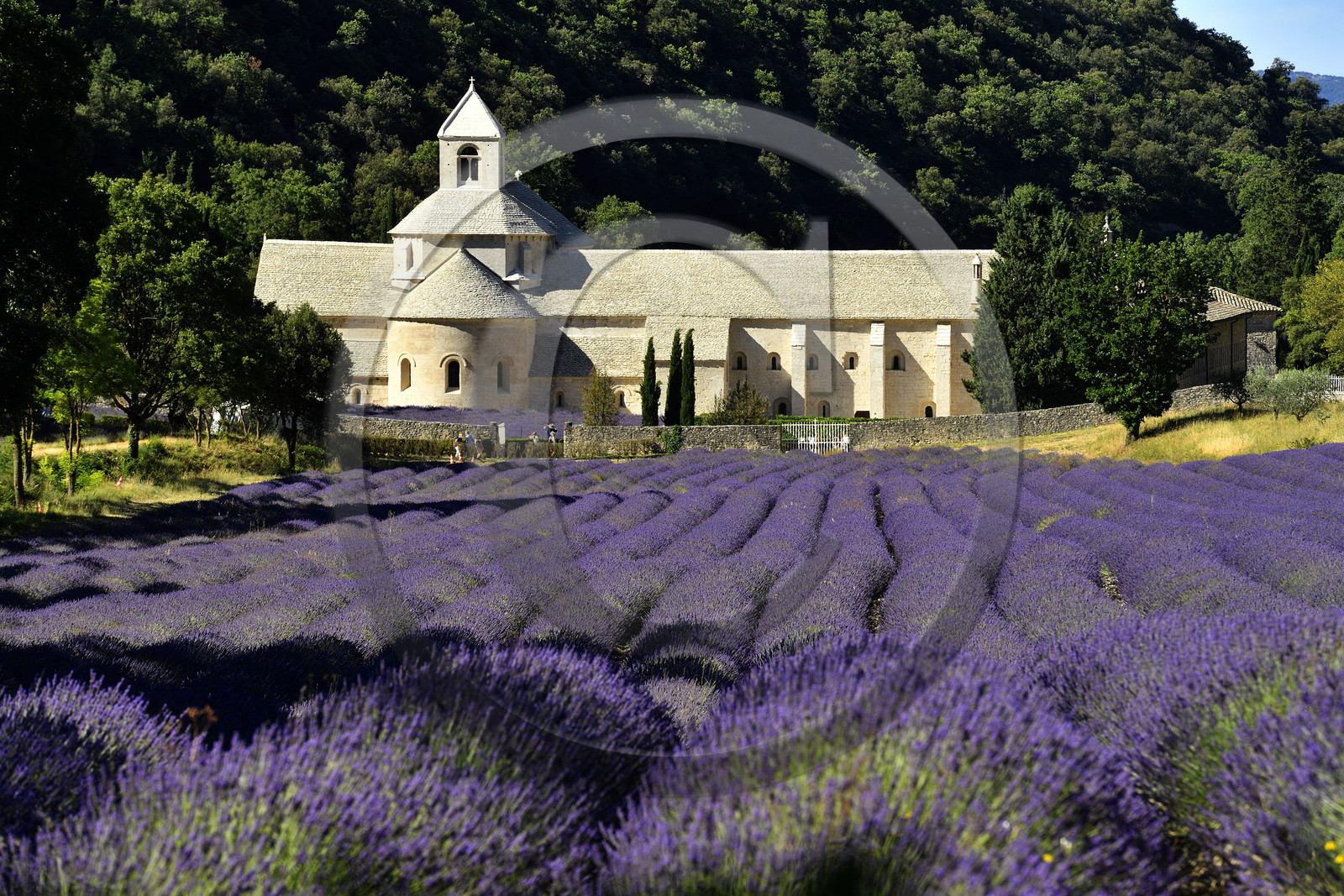 France, Senanque