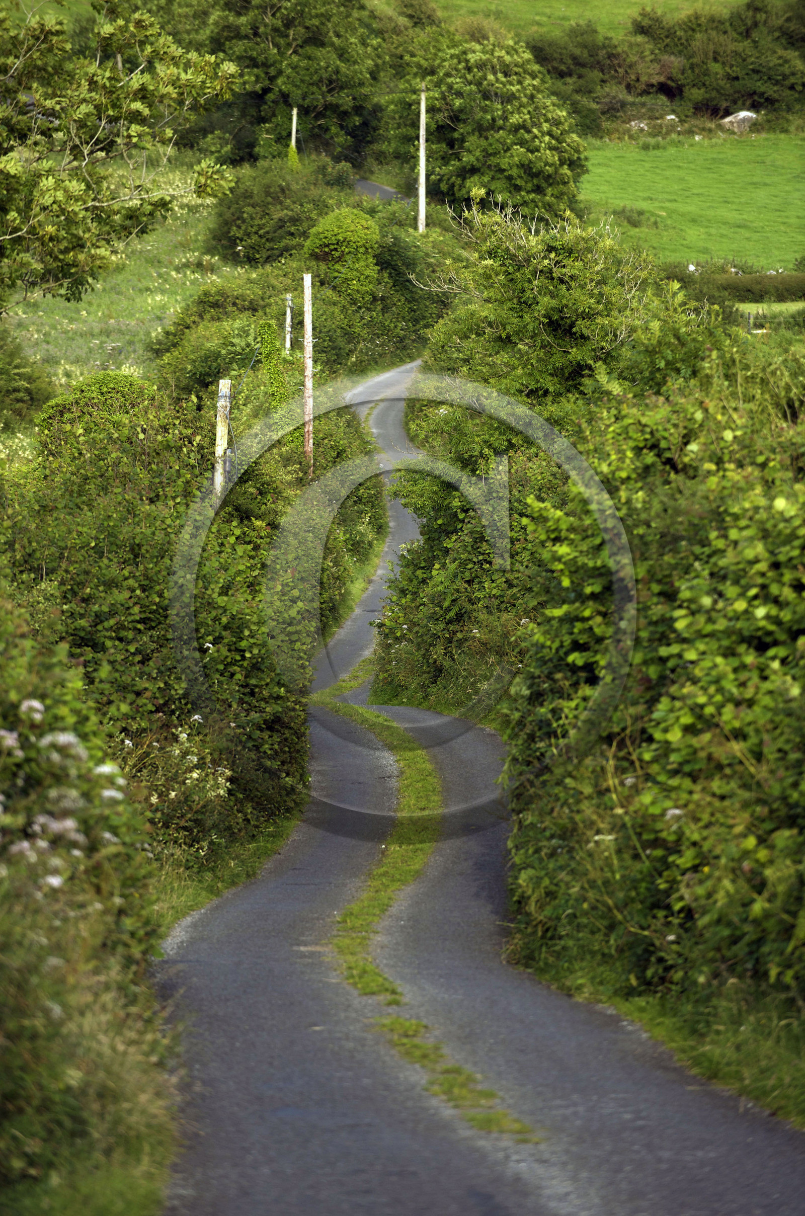 Irlande, Burren