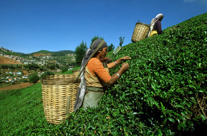 Inde du Sud
