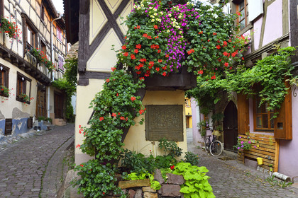 France, Eguisheim