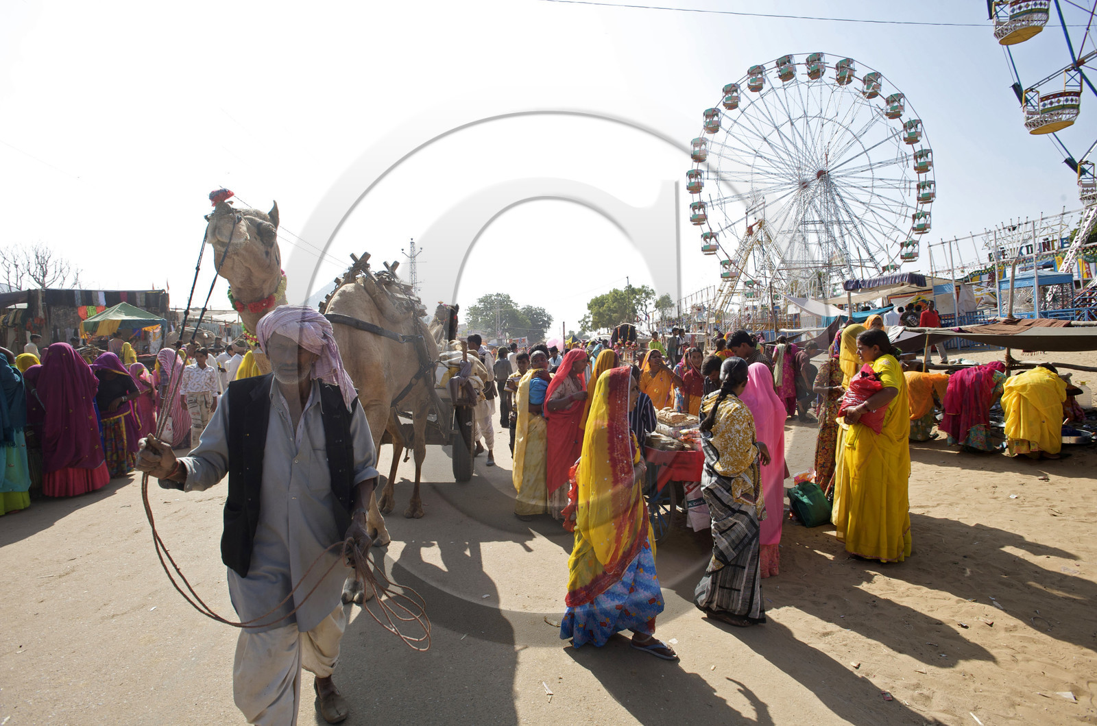 Inde, Pushkar