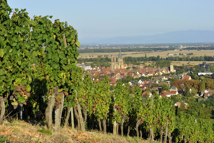 France, Alsace