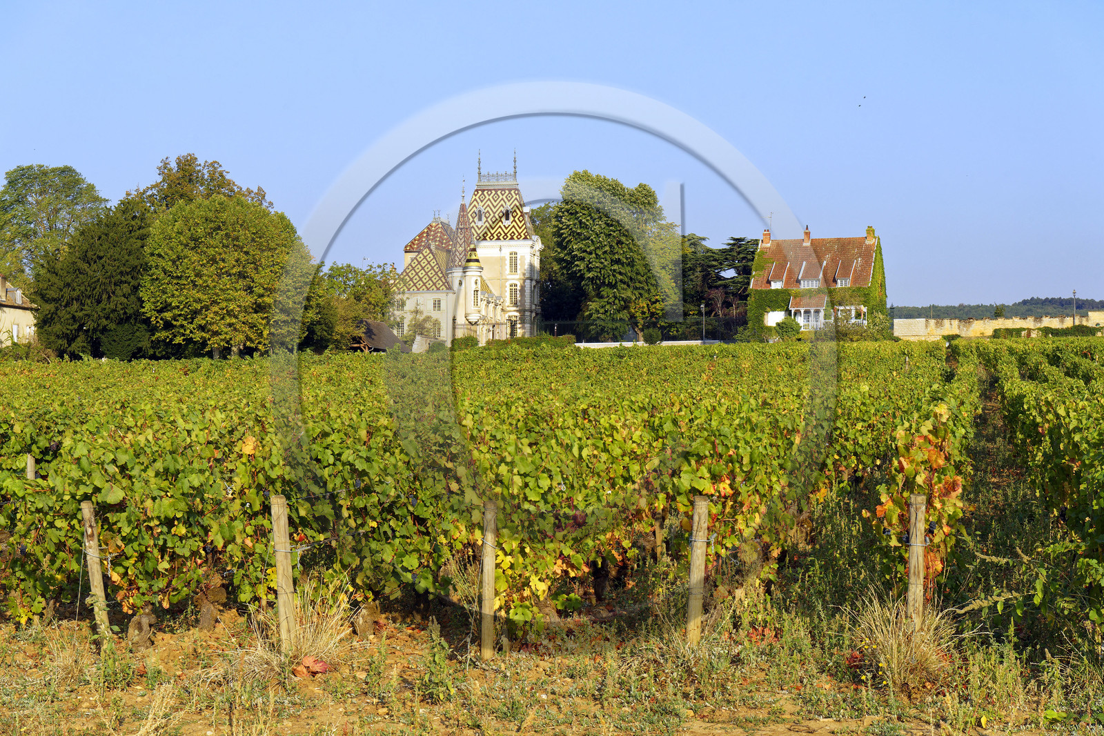 France, Bourgogne