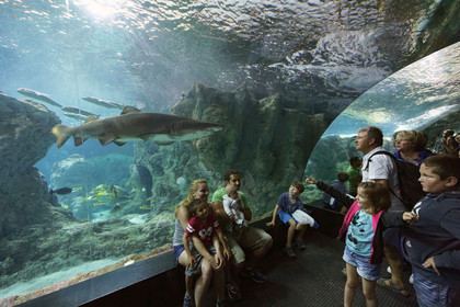 France, Oceanopolis