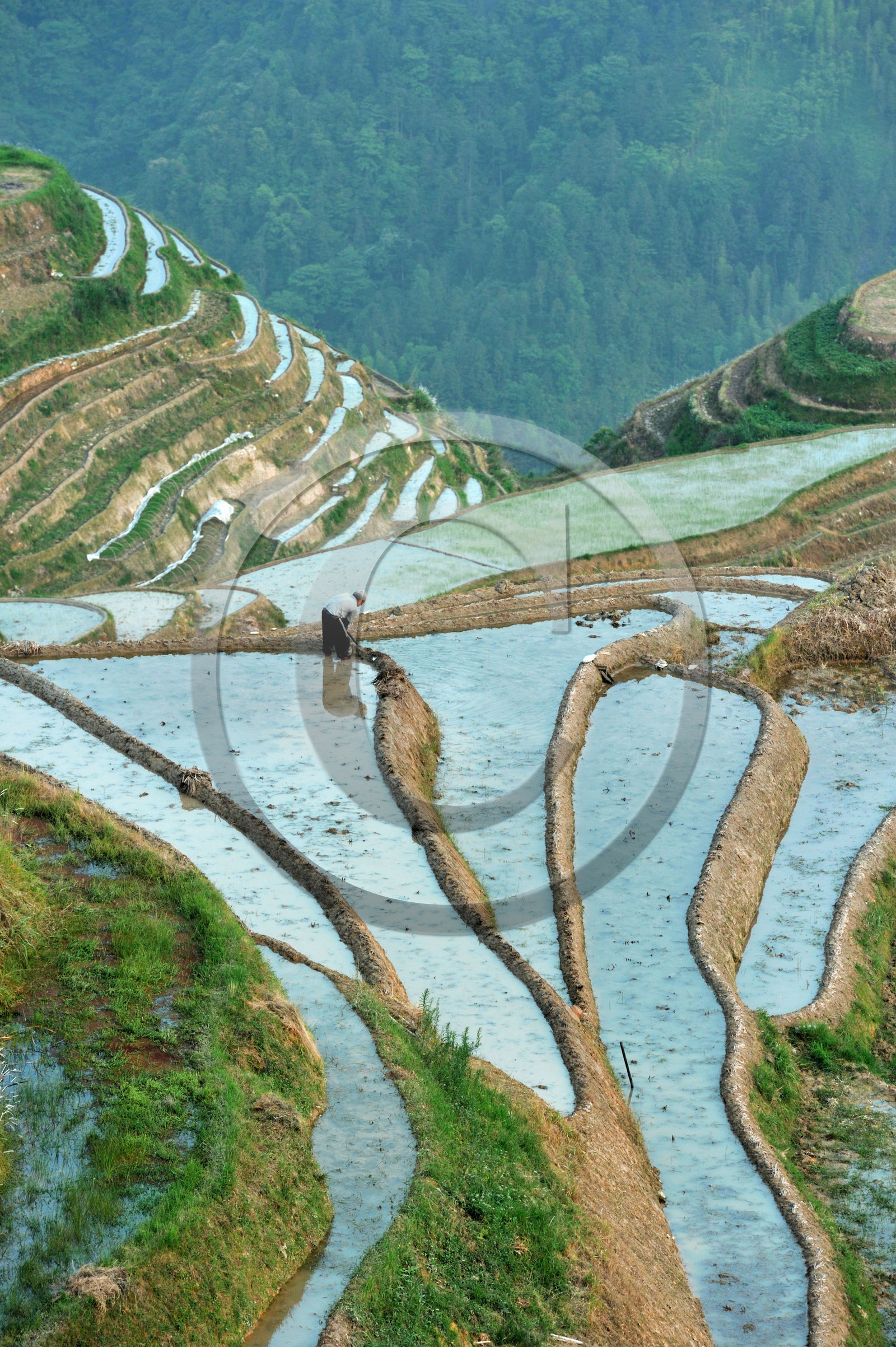 Chine, Longsheng
