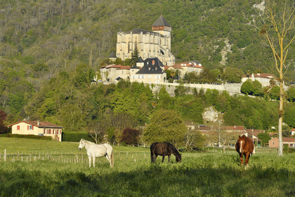 France france haute garonne saint bertrand comminges