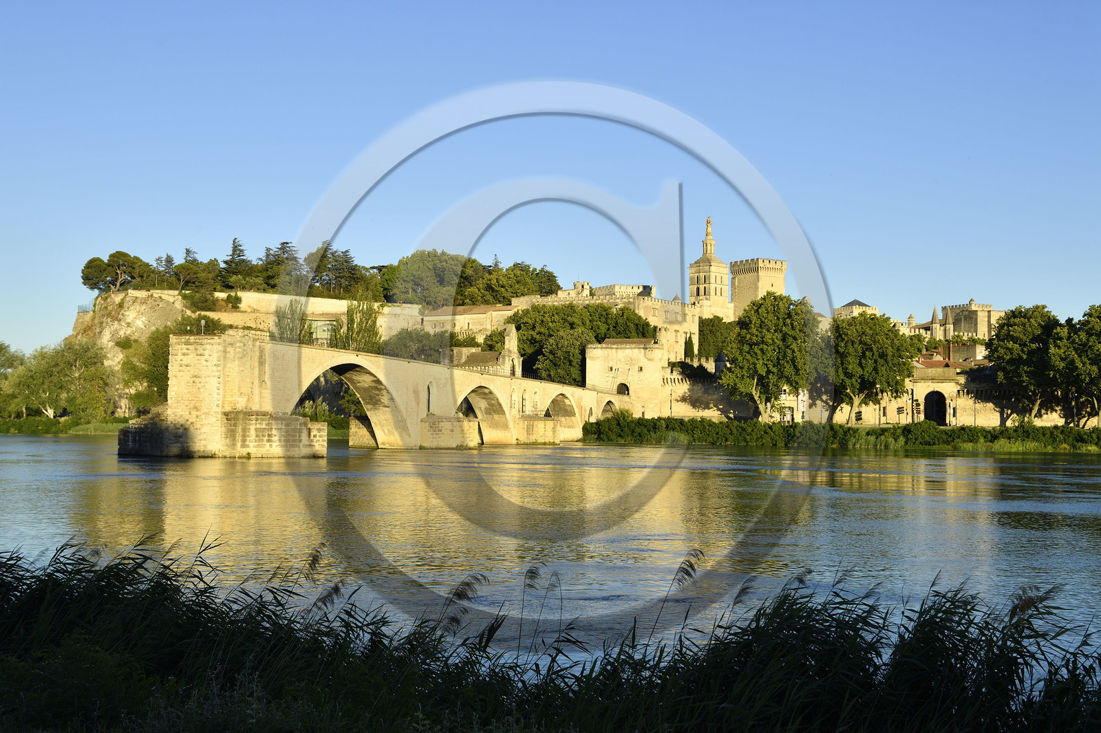 France, Avignon
