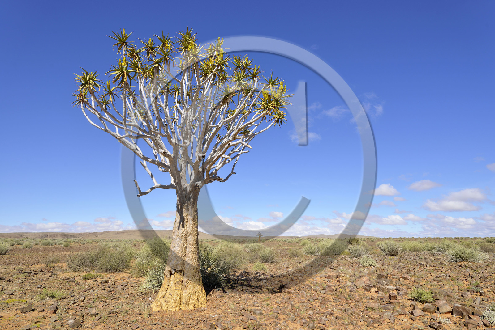 Namibie, Fish River Canyon