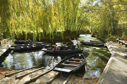 France, Marais Poitevin
